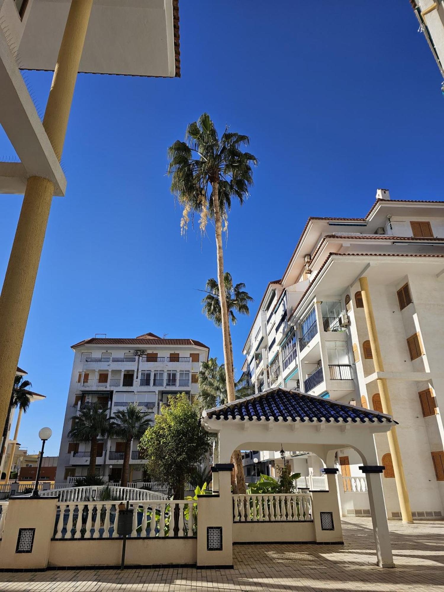 At Costa Blanca - Cozy Apartment With Pool La Mata  Exterior photo